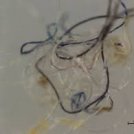 Microfibre tessili in mare, a sorpresa oltre il 92% sono naturali