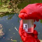 Ambiente, più microplastiche nei laghi: lotta in Italia e Germania