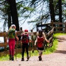 Guida per escursionisti sostenibili in montagna