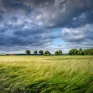 Se ambiente e natura fanno rima. Come far soldi e difendere la Terra