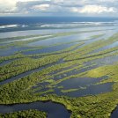 Ambiente, il Wwf: ‘L’Amazzonia è a rischio, è vicina a un punto di non ritorno’