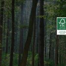 Da Fsc Italia 5 idee per un Green Deal italiano che riparta dalle foreste