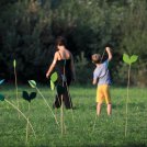 Festival della biodiversità 2020, si parla della salute delle piante