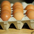 Come riciclare i cartoni delle uova: idee originali e fantasiose