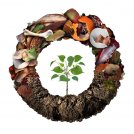 Dal compostaggio degli scarti alimentari, nascono altri modi per essere green