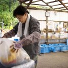 Kamikatsu: la prima comunità al mondo senza spazzatura