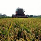 Agricoltura sempre più green: cala l’uso di pesticidi