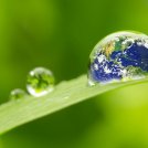 10 idee per rispettare l'ambiente