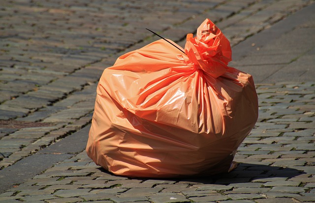 Quanto tempo impiega a degradare un sacchetto di plastica gettato in mare?