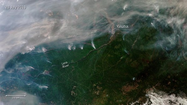 Gl’incendi in Siberia stanno causando una crisi ambientale globale