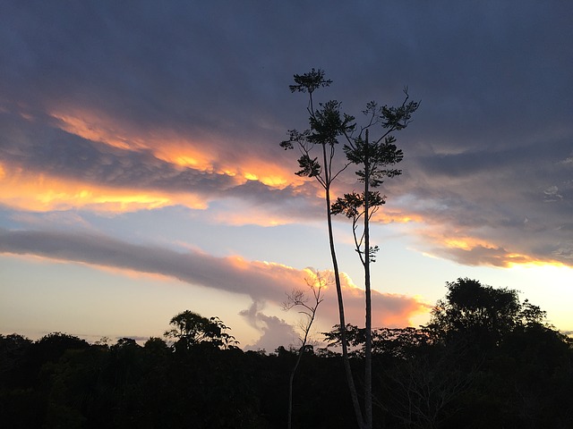 Brucia l’Amazzonia, brucia il nostro futuro. E la causa non è (solo) Bolsonaro, siamo anche noi