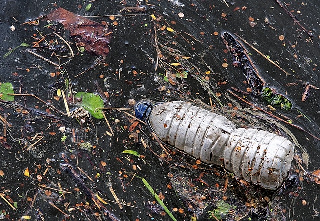 BNL Gruppo BNP Paribas e Legambiente insieme per 'Zero Plastica in Mare'