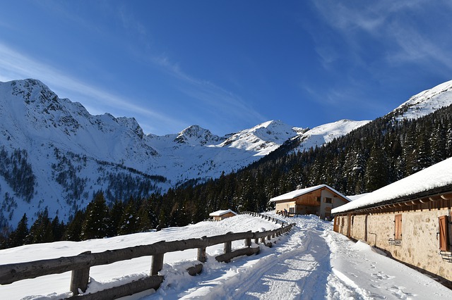 Dalla tempesta Vaia al Green new deal: il Trentino rinasce puntando sulla sostenibilità