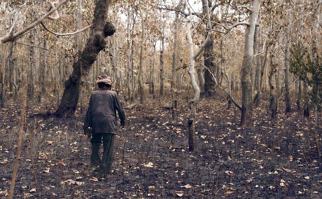 Gli incendi australiani potrebbero essere la Chernobyl del Riscaldamento globale - di Carlo Grande