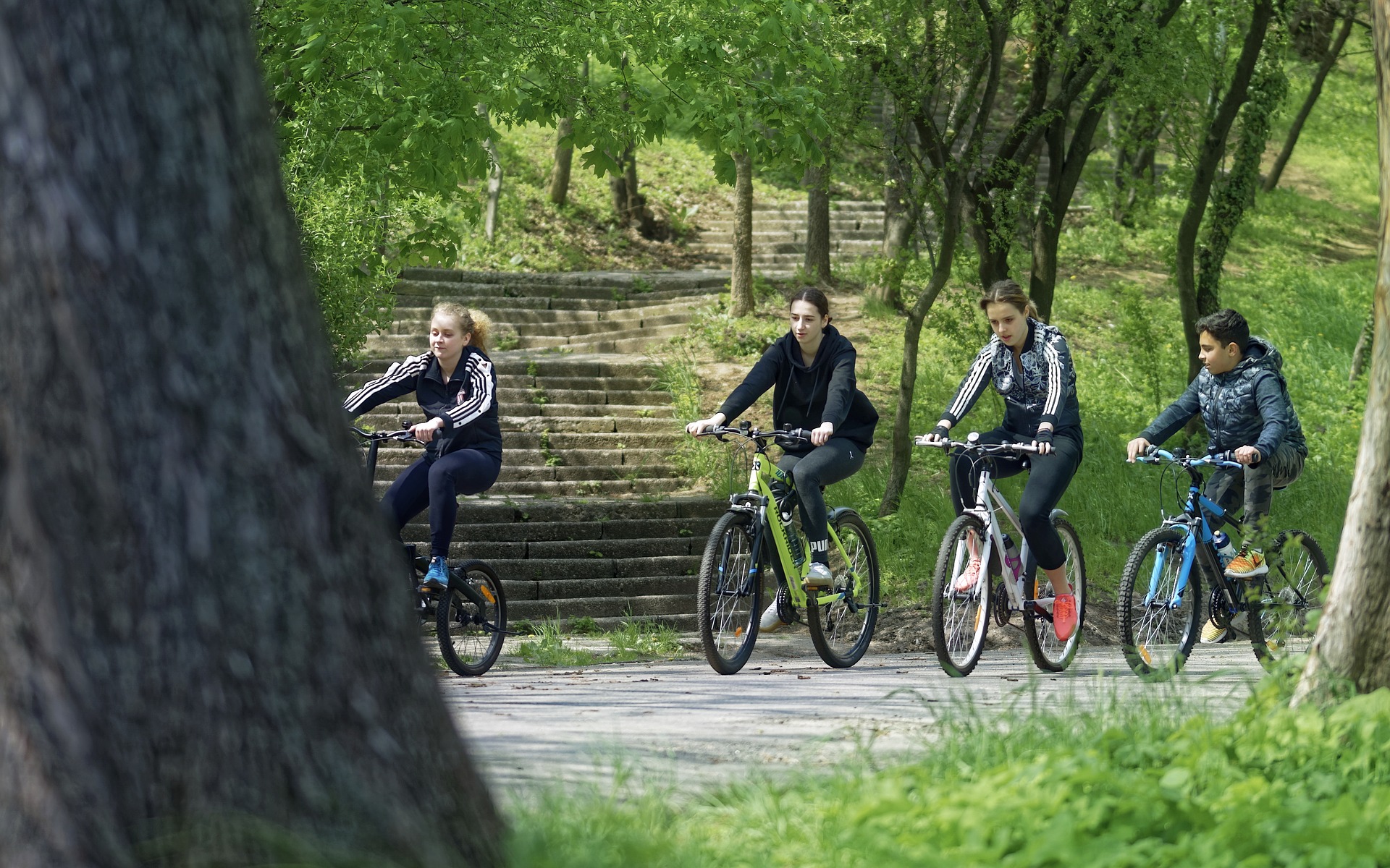 In città camminare, bici e trasporti pubblici restano le opzioni di mobilità più ecologiche rispetto agli scooter elettrici o ai viaggi in auto