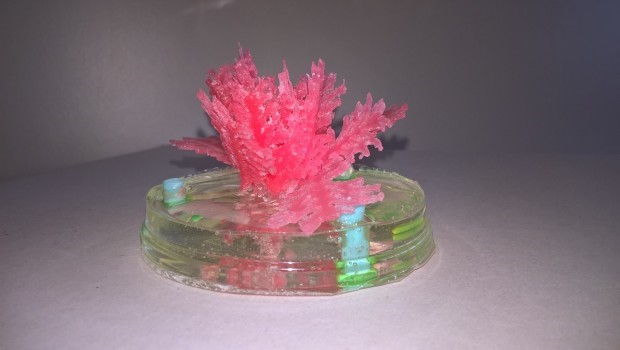Dalla stampa 3D alghe artificiali per studiare il climate change