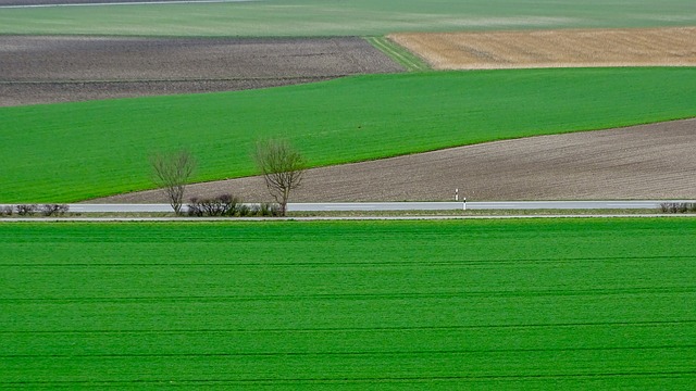 Agricoltura, l’Italia è l’unica a norma contro il Coronavirus - di M.Cristina Ceresa