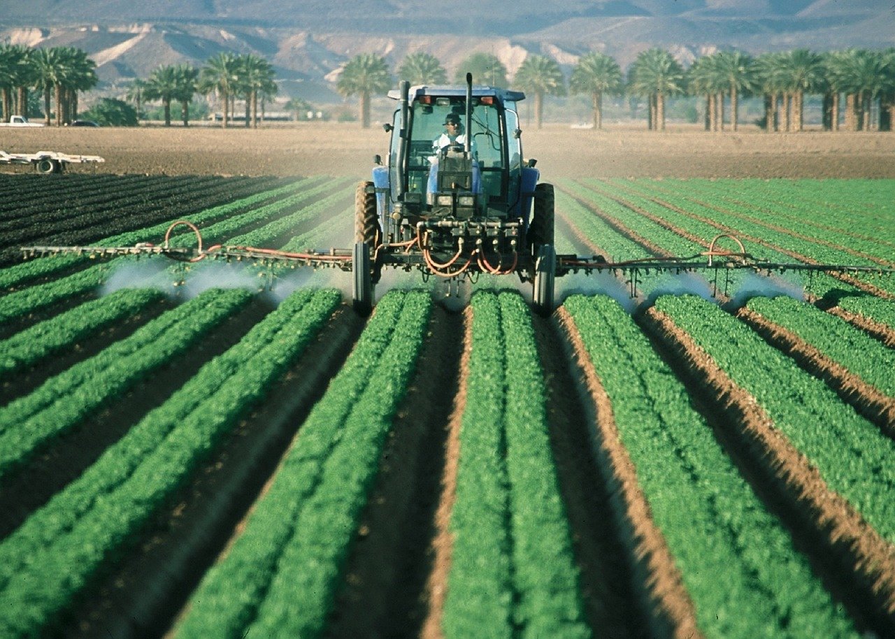 Nuova alleanza per un’agricoltura libera da pesticidi chimici - di Martina Pugno