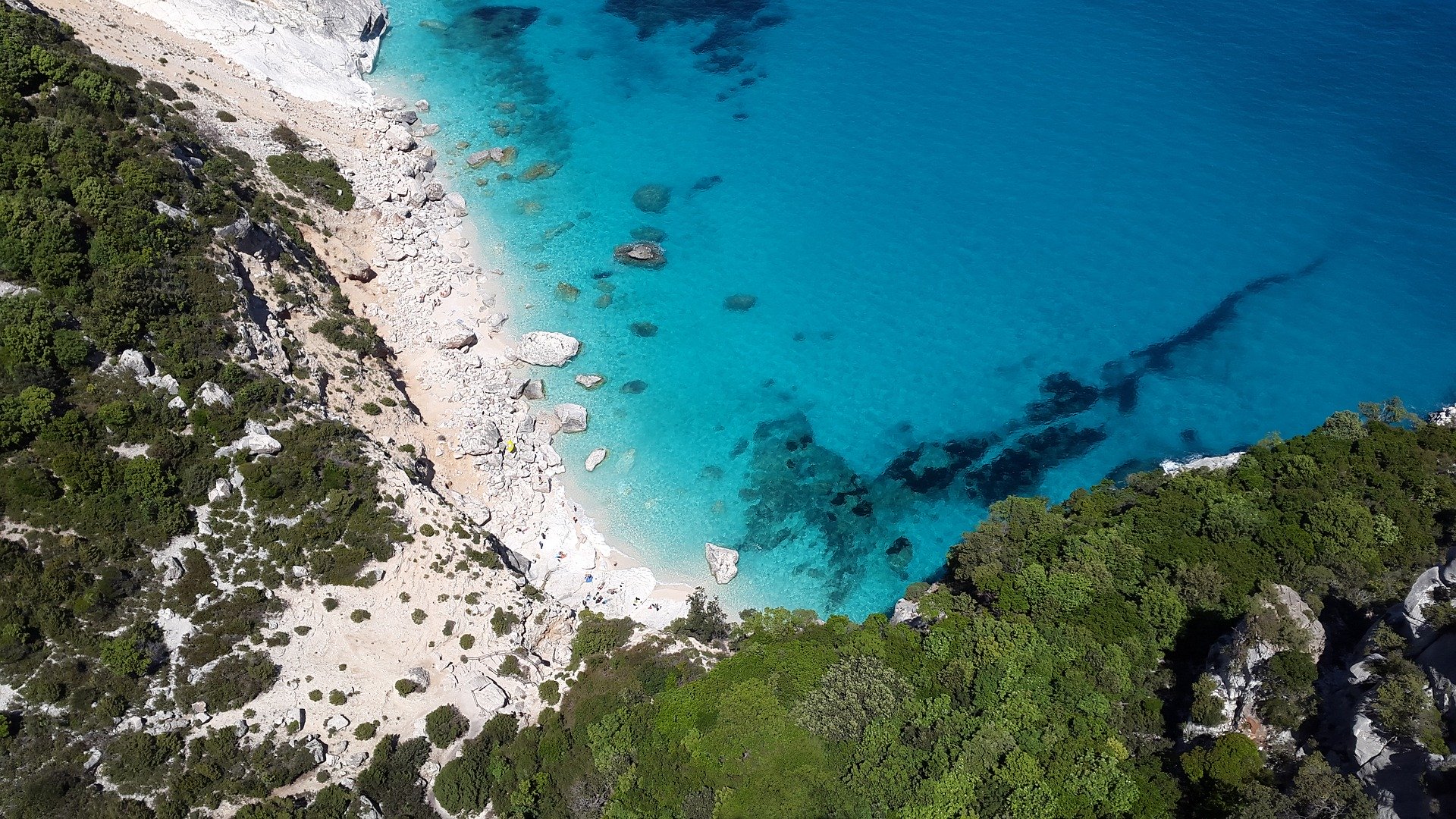 Ambiente. La natura riguadagna i suoi spazi: anche i tonni a riva in Sardegna.