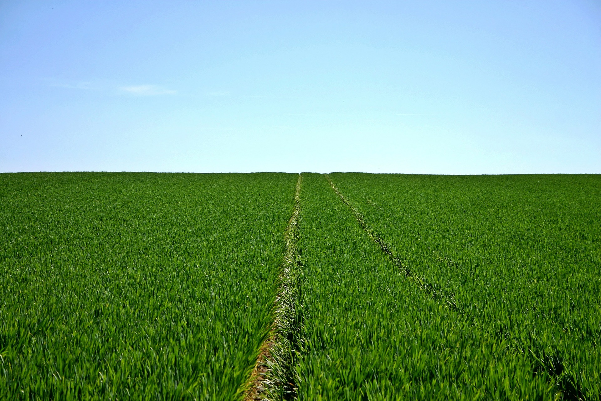 Crisi economica europea: puntare sulla biodiversità e sull’agricoltura sostenibile