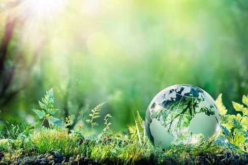 Giornata mondiale ambiente, Ministro Costa: “Priorità Green Deal e tutela del territorio
