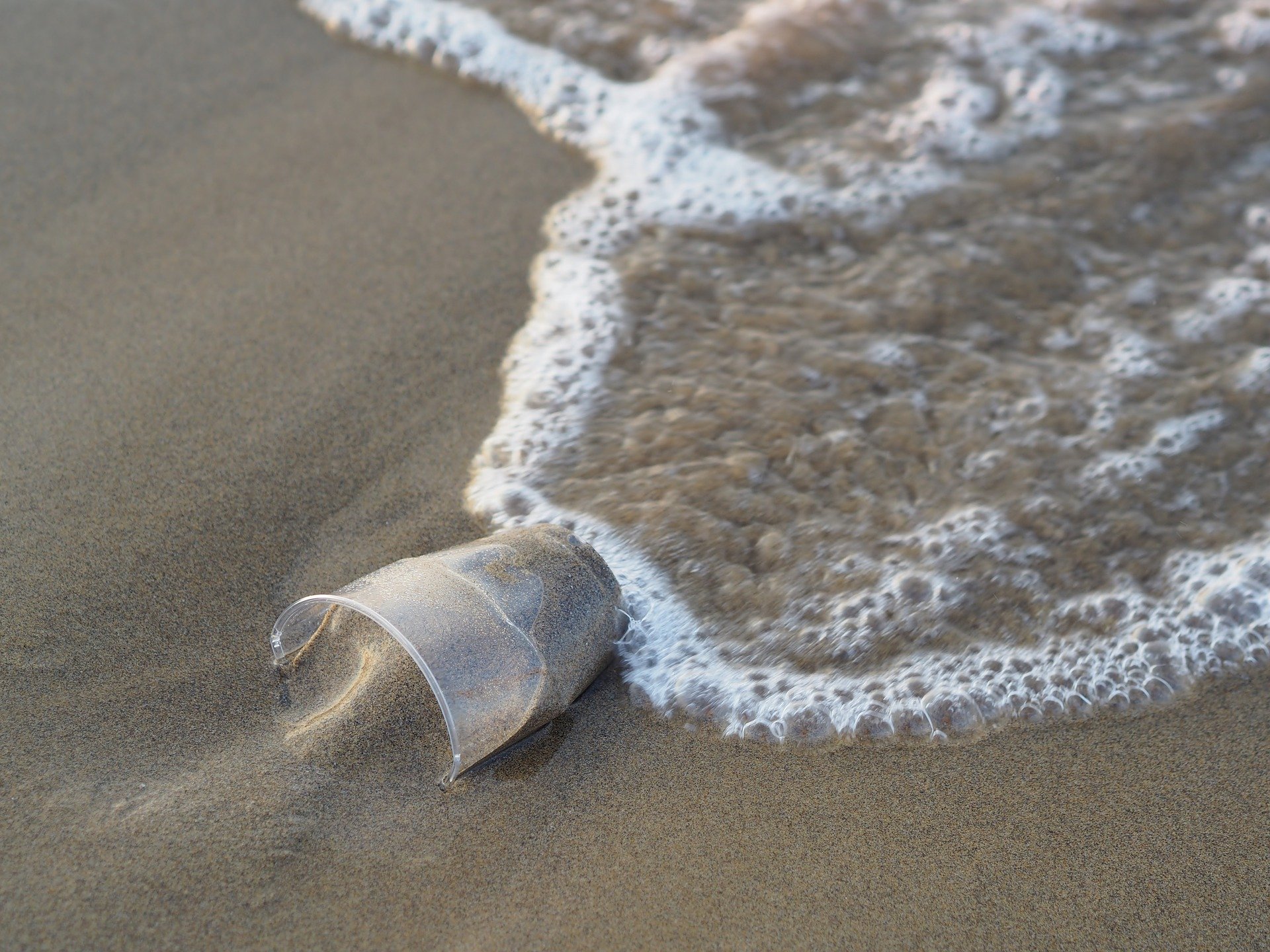 Nuova minaccia per il mare, plastica liquida nei detergenti