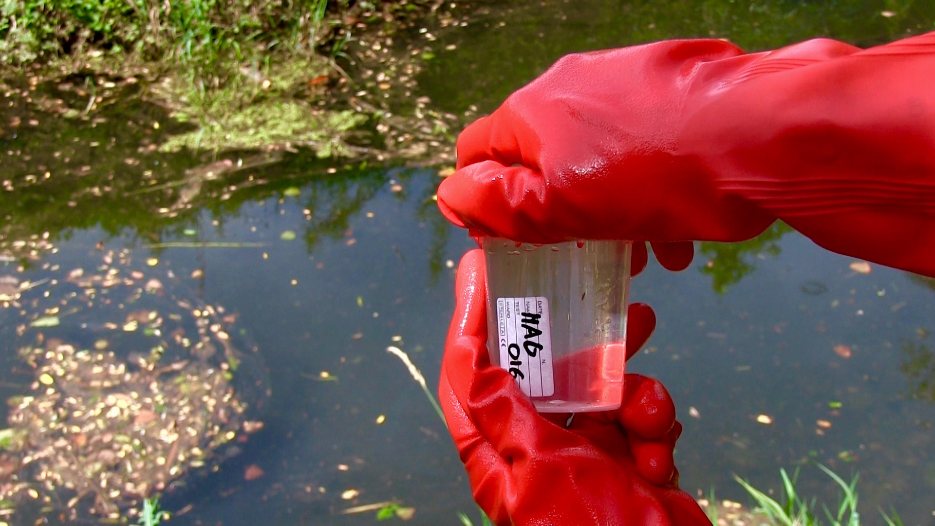 Ambiente, più microplastiche nei laghi: lotta in Italia e Germania