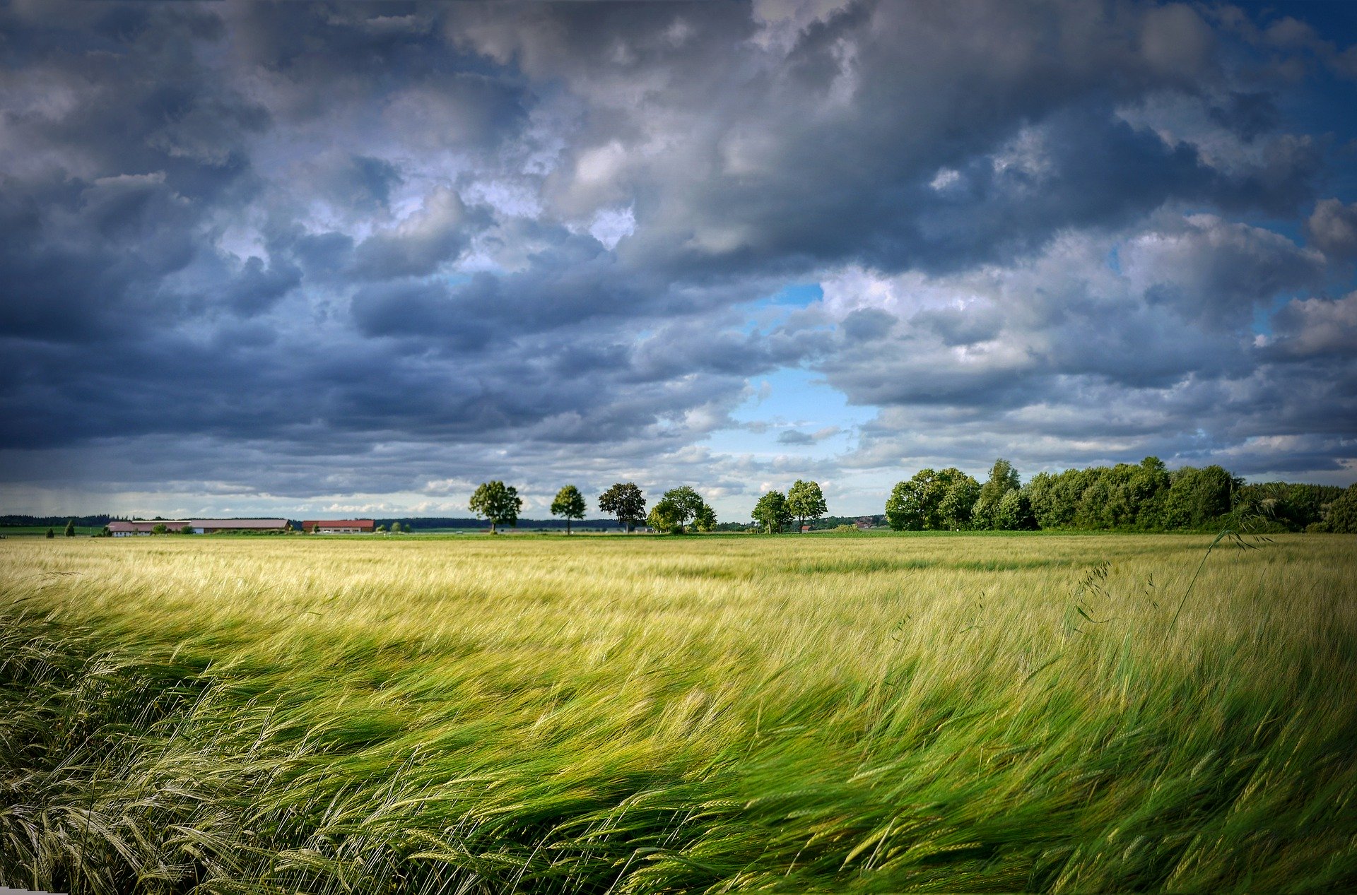 Se ambiente e natura fanno rima. Come far soldi e difendere la Terra