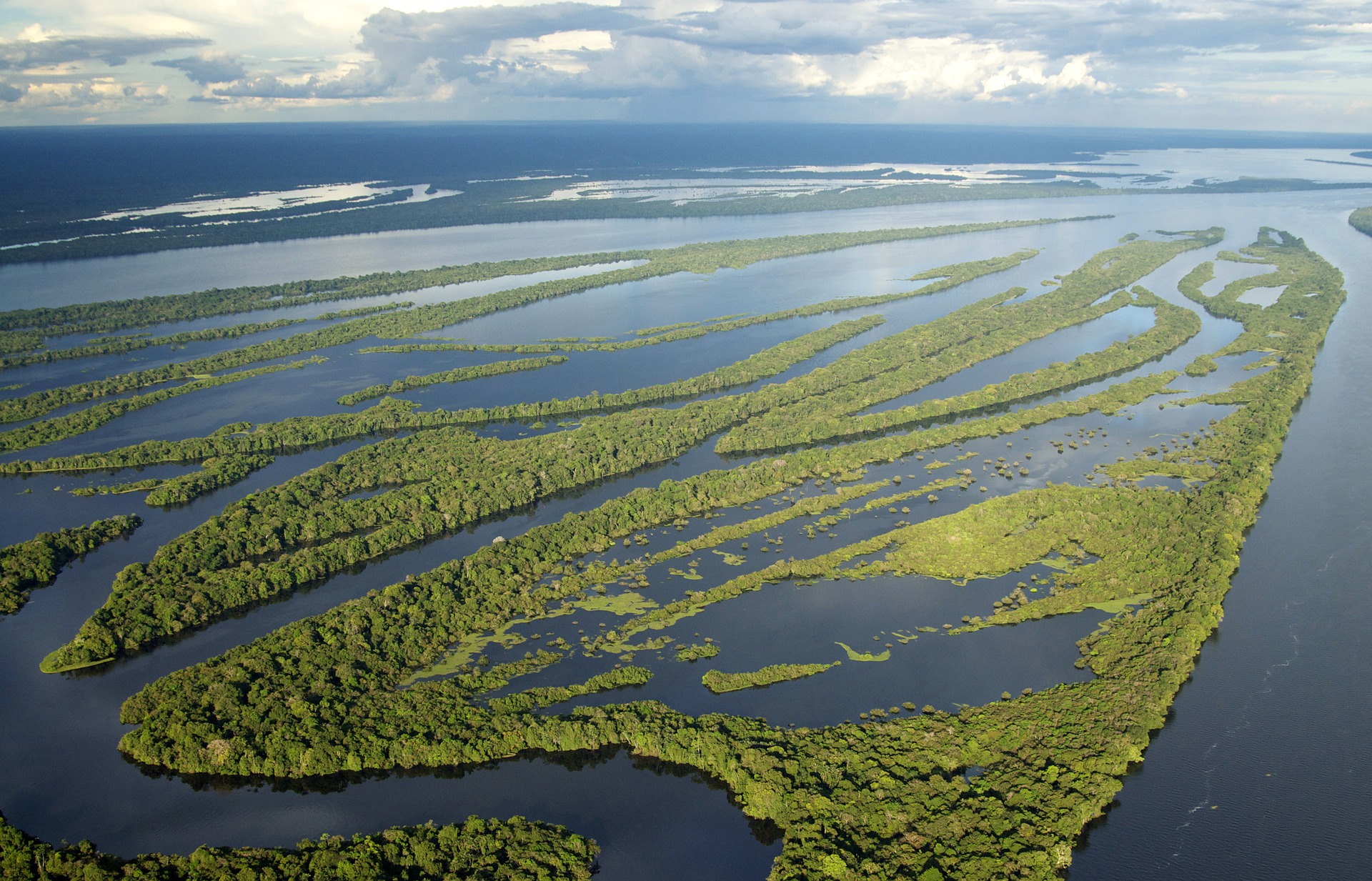 Ambiente, il Wwf: ‘L’Amazzonia è a rischio, è vicina a un punto di non ritorno’