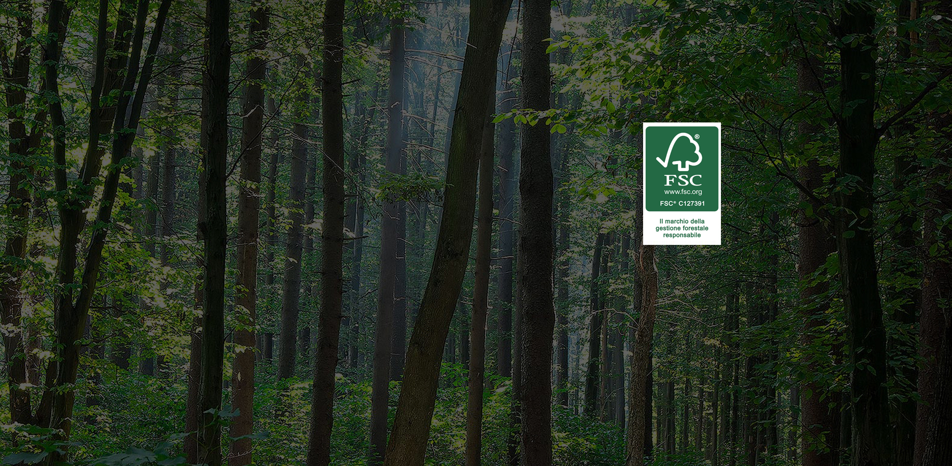 Da Fsc Italia 5 idee per un Green Deal italiano che riparta dalle foreste
