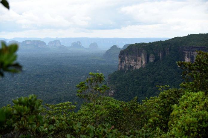 Il più grande parco di foresta pluviale in Colombia è patrimonio dell’UNESCO